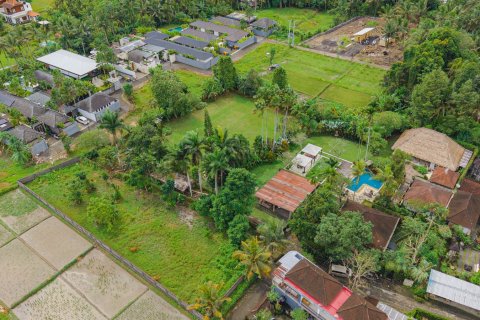 Land in Ubud, Gianyar, Bali (15599) 13