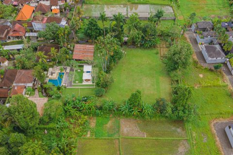 Land in Ubud, Gianyar, Bali (15599) 8