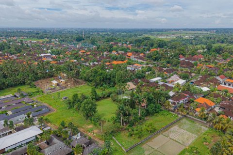 Land in Ubud, Gianyar, Bali (15599) 17