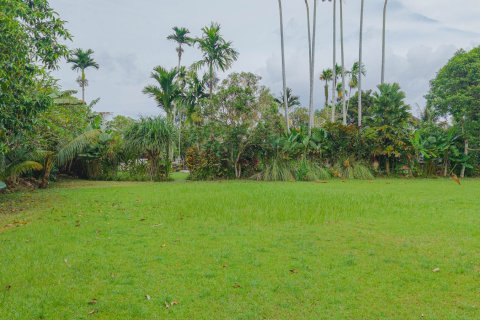 Land in Ubud, Gianyar, Bali (15599) 6