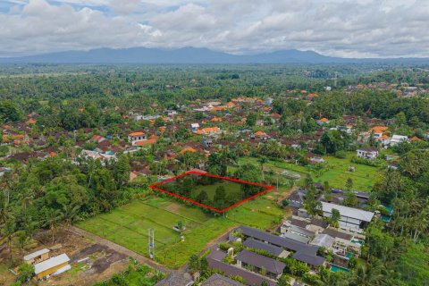 Land in Ubud, Gianyar, Bali (15599) 25