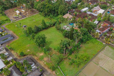 Land in Ubud, Gianyar, Bali (15599) 18