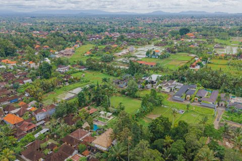 Land in Ubud, Gianyar, Bali (15599) 10