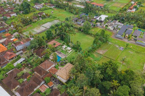 Land in Ubud, Gianyar, Bali (15599) 9