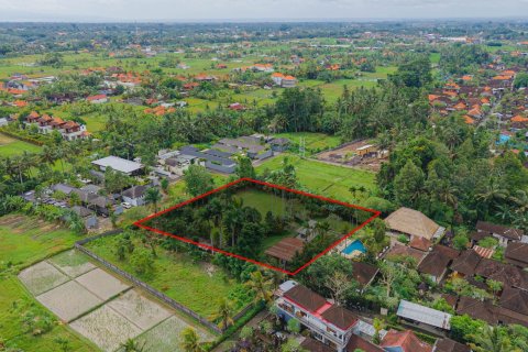 Land in Ubud, Gianyar, Bali (15599) 4