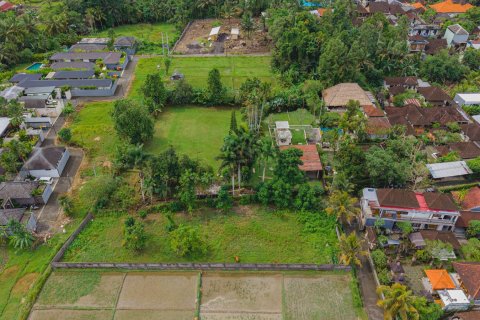 Land in Ubud, Gianyar, Bali (15599) 16