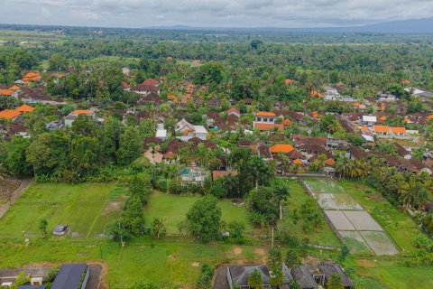 Land in Ubud, Gianyar, Bali (15599) 20