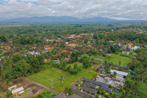 Land in Ubud, Gianyar, Bali (15599) 21