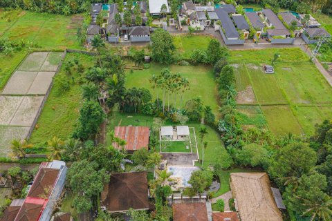 Land in Ubud, Gianyar, Bali (15599) 12