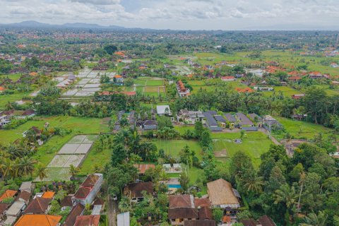 Land in Ubud, Gianyar, Bali (15599) 11