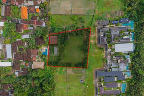 Land in Ubud, Gianyar, Bali (15599) 26