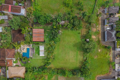 Land in Ubud, Gianyar, Bali (15599) 24