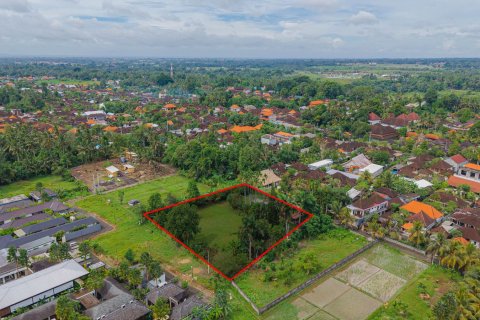 Land in Ubud, Gianyar, Bali (15599)