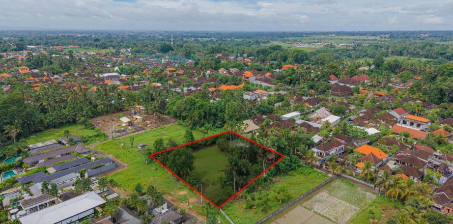 Land in Ubud, Gianyar, Bali (15599)