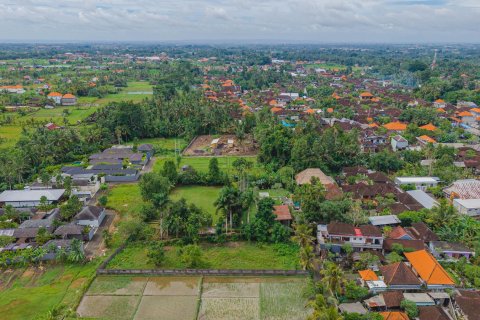 Land in Ubud, Gianyar, Bali (15599) 15