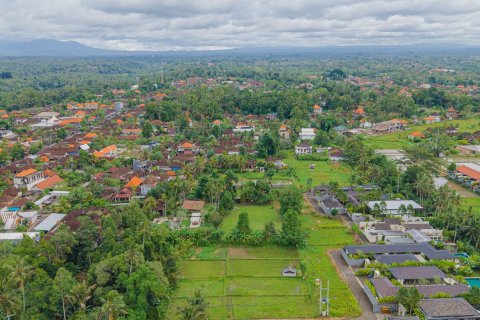 Land in Ubud, Gianyar, Bali (15599) 7