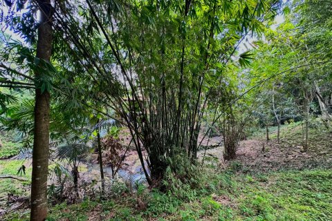 Land in Tumbak Bayuh, Mengwi, Badung, Bali (15597) 8
