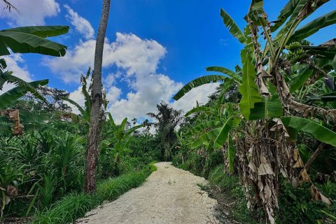 Land in Tumbak Bayuh, Mengwi, Badung, Bali (15597) 3