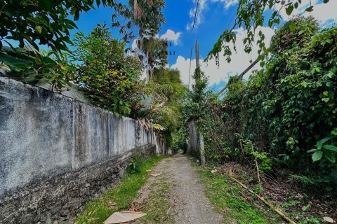 Land in Tumbak Bayuh, Mengwi, Badung, Bali (15597) 2