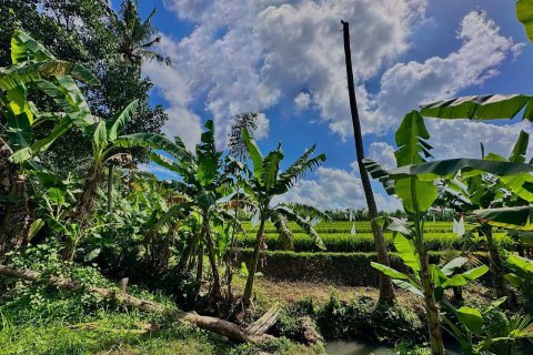 Land in Tumbak Bayuh, Mengwi, Badung, Bali (15597) 7