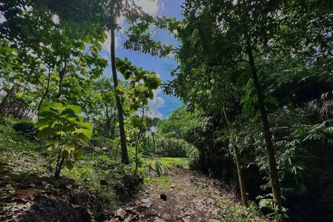 Land in Tumbak Bayuh, Mengwi, Badung, Bali (15597) 4