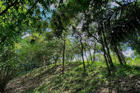Land in Tumbak Bayuh, Mengwi, Badung, Bali (15597) 5