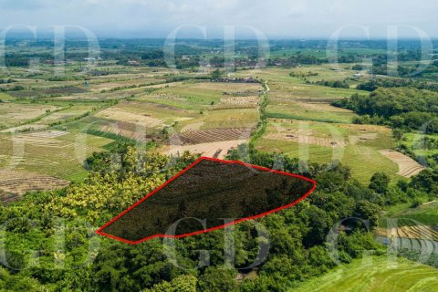 Land in Kerambitan, Tabanan, Bali (15704) 5