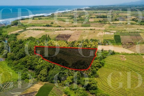 Land in Kerambitan, Tabanan, Bali (15704)