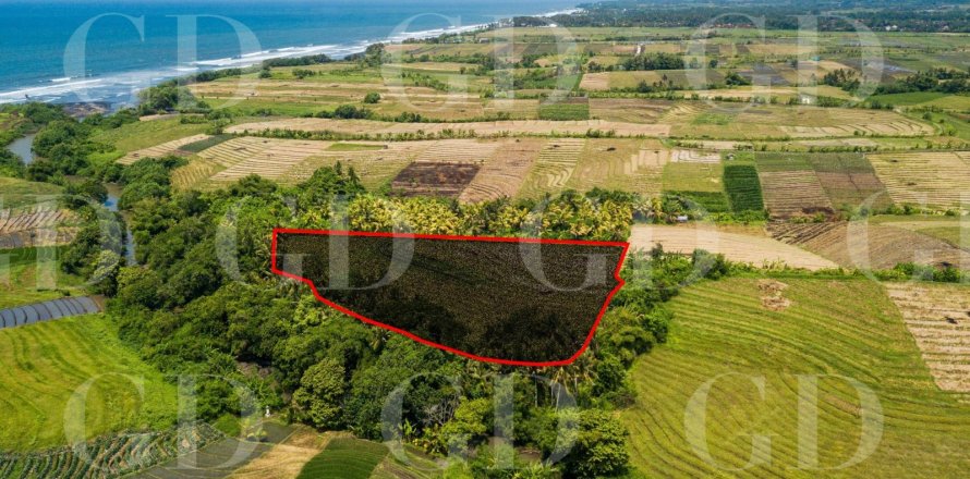 Land in Kerambitan, Tabanan, Bali (15704)