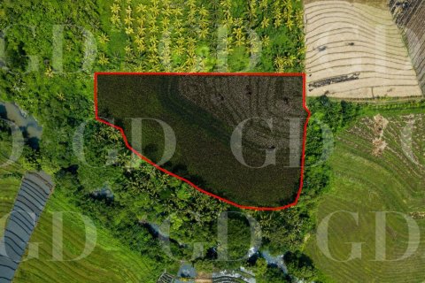 Land in Kerambitan, Tabanan, Bali (15704) 2