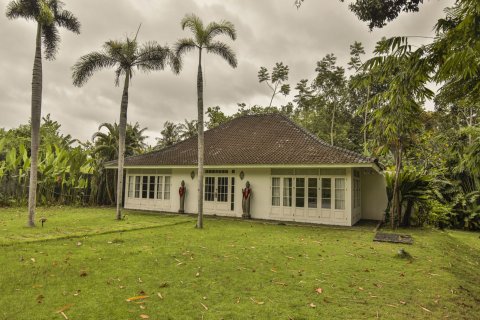 2 bedrooms Villa in Tumbak Bayuh, Mengwi, Badung, Bali (15743)
