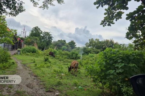 Земельный участок 10000м2 в Южная Кута, Бадунг,  (10057)