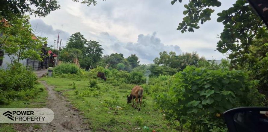 Земельный участок 10000м2 в Южная Кута, Бадунг,  (10057)