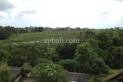 5 bedrooms Villa in Canggu, Badung, Bali (10717) 6