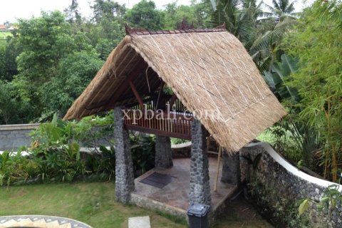 5 bedrooms Villa in Canggu, Badung, Bali (10717) 3