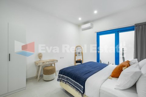 6 bedrooms Villa in Kerobokan, Badung, Bali (14757) 23