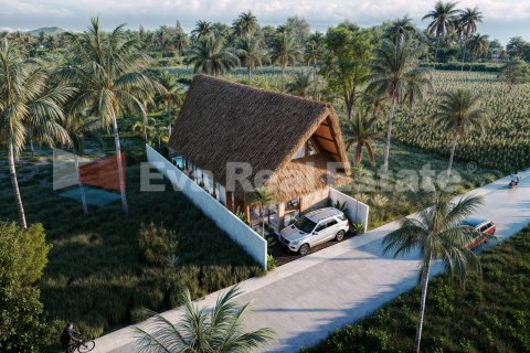 2 bedrooms Villa in Kediri, Tabanan, Bali (14761) 15