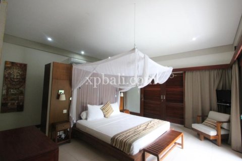 2 bedrooms Villa in Tampaksiring, Gianyar, Bali (13977) 10