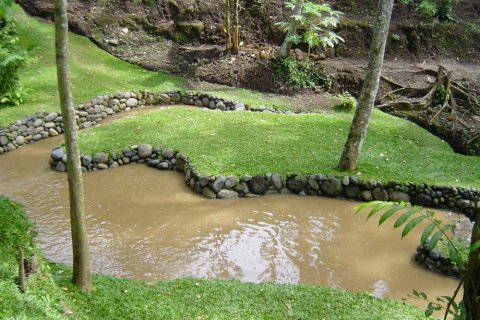 Land in Tabanan, Bali (12287) 6