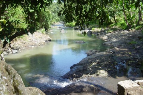 Land in Tabanan, Bali (12287) 8