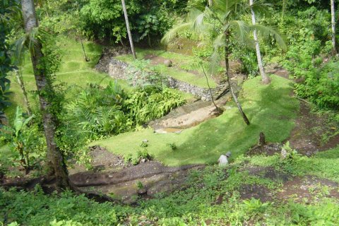 Land in Tabanan, Bali (12287)