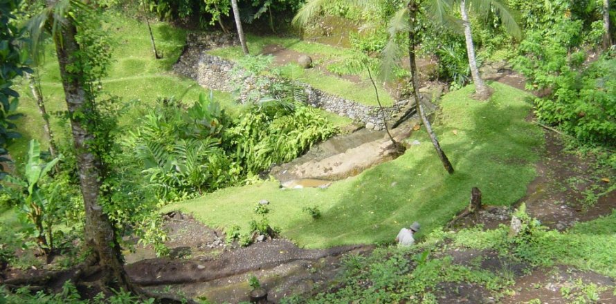 Land in Tabanan, Bali (12287)