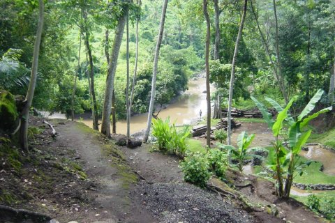 Land in Tabanan, Bali (12287) 3