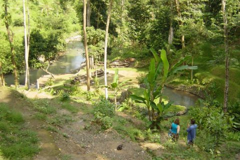 Land in Tabanan, Bali (12287) 11