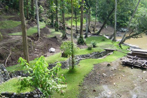 Land in Tabanan, Bali (12287) 4