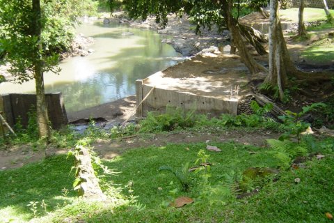 Land in Tabanan, Bali (12287) 7
