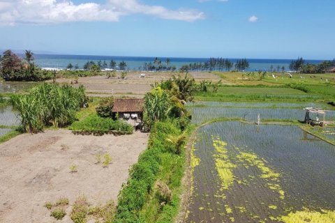 Land in South Denpasar, Denpasar, Bali (12288)