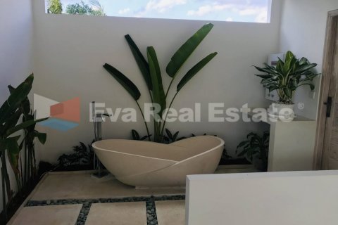 3 bedrooms Villa in Tumbak Bayuh, Mengwi, Badung, Bali (2402) 17