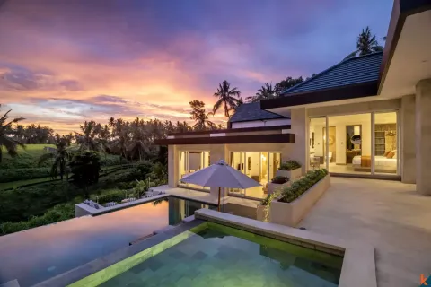 5 bedrooms Villa in Ubud, Gianyar, Bali (14685) 2