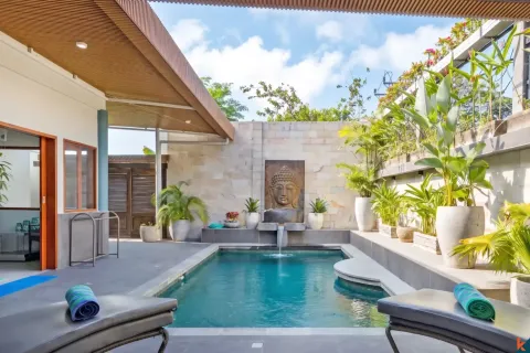 2 bedrooms Villa in South Denpasar, Denpasar, Bali (14686) 3